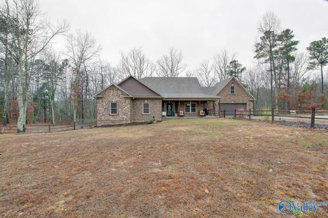 620 Mini Farm Rd, Grant, AL 35747 photo 7