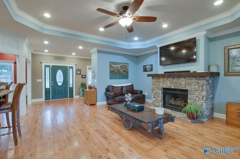620 Mini Farm Rd, Grant, AL 35747 photo 10