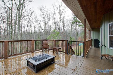 620 Mini Farm Rd, Grant, AL 35747 photo 42