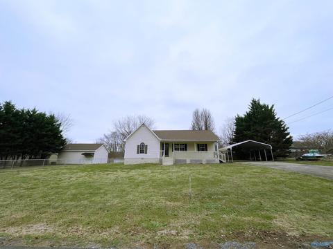 294 Nicki Ln, Arab, AL 35016 photo 33