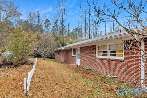 4917 County Road 43, Section, AL 35771 photo 38
