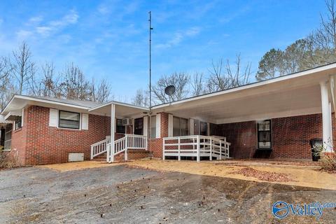 4917 County Road 43, Section, AL 35771 photo 35