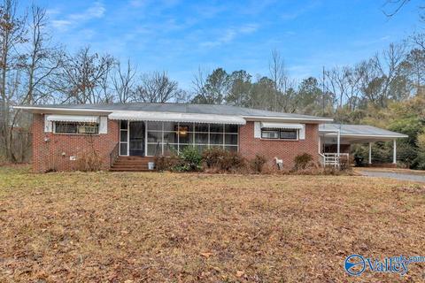 4917 County Road 43, Section, AL 35771 photo 1