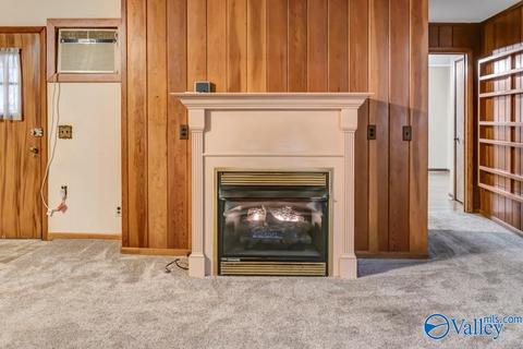 4917 County Road 43, Section, AL 35771 photo 3