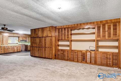 4917 County Road 43, Section, AL 35771 photo 6