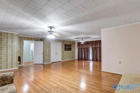 4917 County Road 43, Section, AL 35771 photo 19