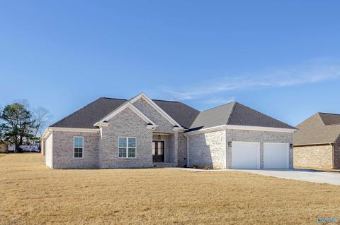 164 Oakview Cir, Killen, AL 35645 photo 2