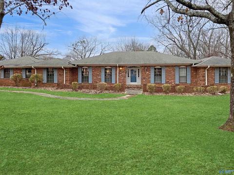 222 N Mountain Dr, Trinity, AL 35673 photo 1