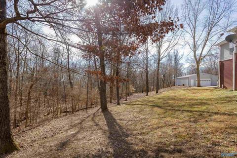 330 Allison Dr, Killen, AL 35645 photo 25