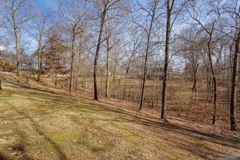 330 Allison Dr, Killen, AL 35645 photo 26