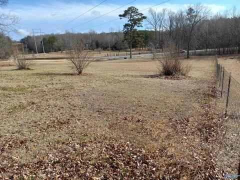 27125 County Road 460, Trinity, AL 35673 photo 5