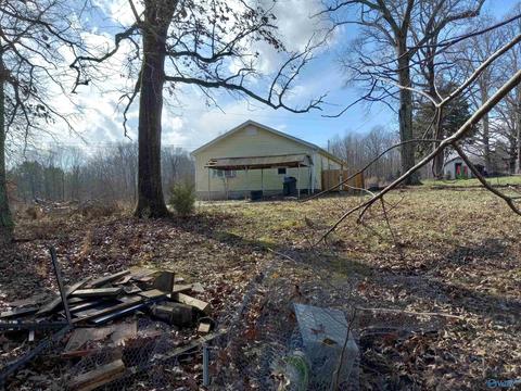 27125 County Road 460, Trinity, AL 35673 photo 3