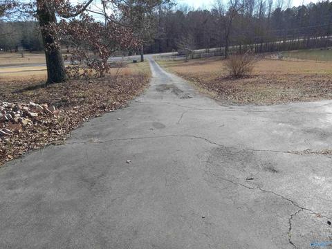 27125 County Road 460, Trinity, AL 35673 photo 6