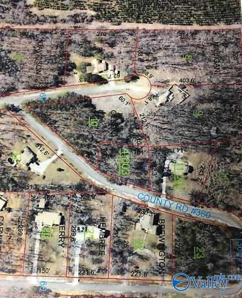 10 County Road 514, Trinity, AL 35673 photo 2