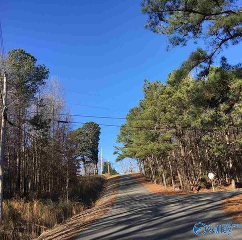 10 County Road 514, Trinity, AL 35673 photo 1
