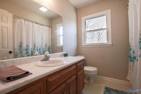 25 Sharon Ave, Trinity, AL 35673 photo 14
