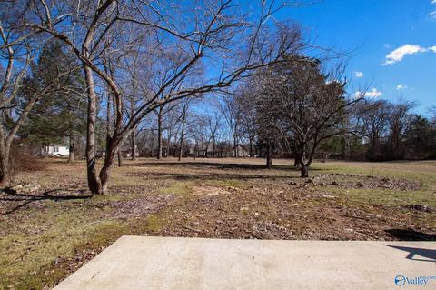 25 Sharon Ave, Trinity, AL 35673 photo 17