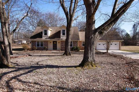 25 Sharon Ave, Trinity, AL 35673 photo 1
