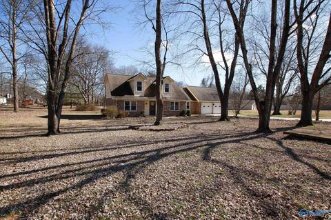 25 Sharon Ave, Trinity, AL 35673 photo 18