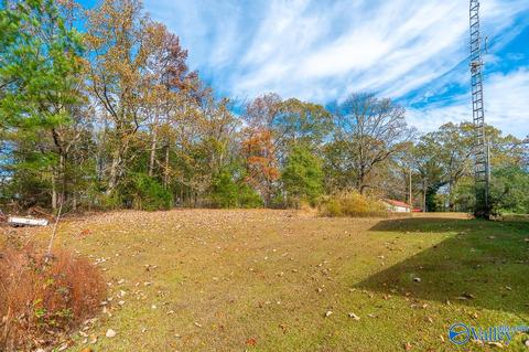 135 Forest Hill Rd, Trinity, AL 35673 photo 37