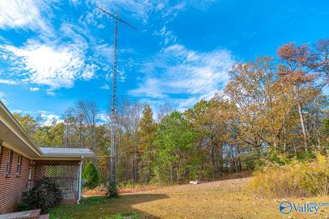 135 Forest Hill Rd, Trinity, AL 35673 photo 36