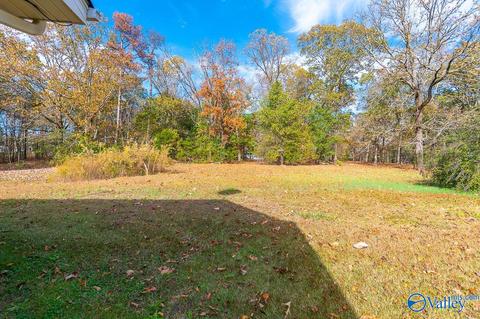 135 Forest Hill Rd, Trinity, AL 35673 photo 34
