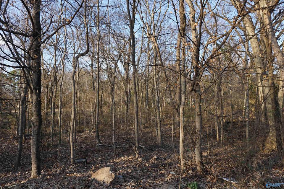 0 SE Blevins Gap Rd, Huntsville, AL 35802 1 photo MLS 1827330 Movoto