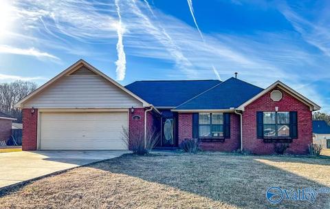 121 Sims St, Trinity, AL 35673 photo 14