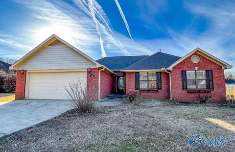 121 Sims St, Trinity, AL 35673 photo 1