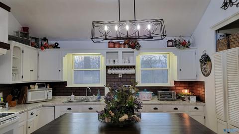 561 County Road 446, Dutton, AL 35744 photo 8