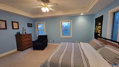 561 County Road 446, Dutton, AL 35744 photo 32