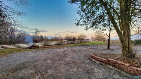 561 County Road 446, Dutton, AL 35744 photo 16