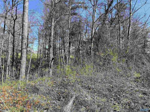 9 Cardinal Drive, Guntersville, AL 35976