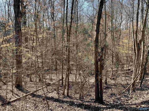 lot15 Cardinal Dr, Guntersville, AL 35976