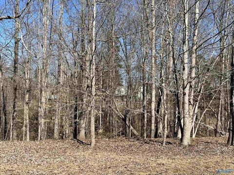 lot18 Lot 18 Deer Walk, Guntersville, AL 35976