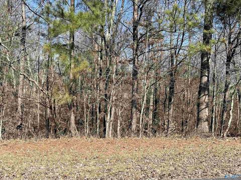 lot20 Lot 20 Deer Walk, Guntersville, AL 35976