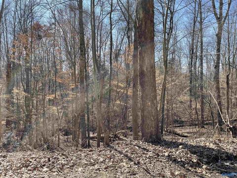 16 Cardinal Drive, Guntersville, AL 35976