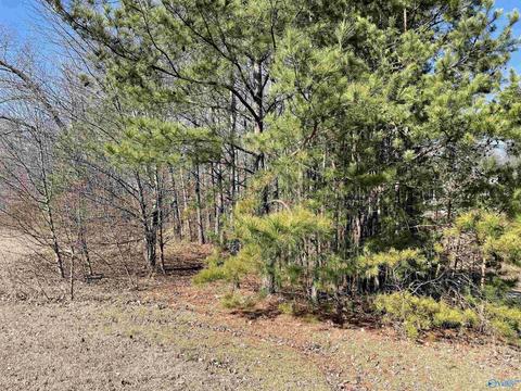 17 Cardinal Drive, Guntersville, AL 35976