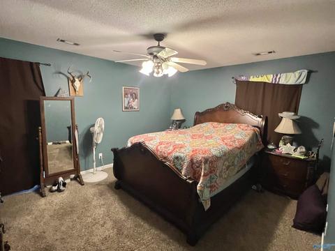 41 Terry Ln, Trinity, AL 35673 photo 9