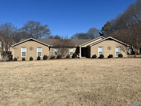 41 Terry Ln, Trinity, AL 35673 photo 17