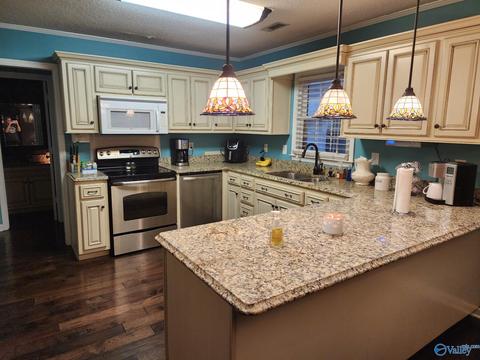 41 Terry Ln, Trinity, AL 35673 photo 2
