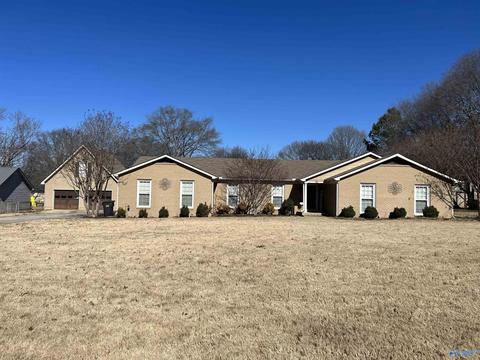 41 Terry Ln, Trinity, AL 35673 photo 1