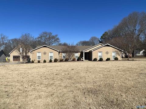 41 Terry Ln, Trinity, AL 35673 photo 16
