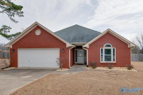 106 Windstream Dr, Madison, AL 35757 photo 1