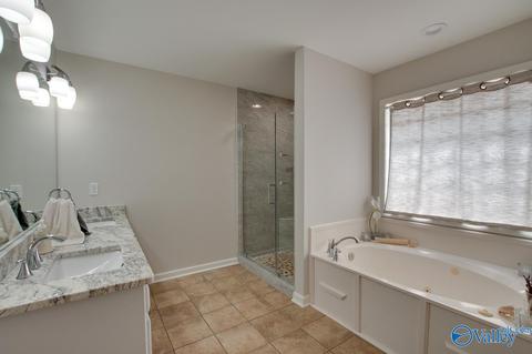 106 Windstream Dr, Madison, AL 35757 photo 34