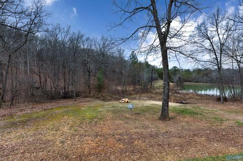 90 Mountain Brook Dr, Trinity, AL 35673 photo 7