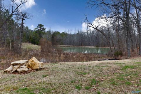 90 Mountain Brook Dr, Trinity, AL 35673 photo 9