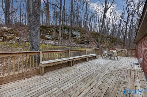 90 Mountain Brook Dr, Trinity, AL 35673 photo 3