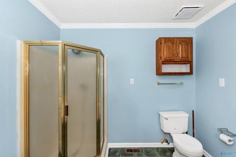 90 Mountain Brook Dr, Trinity, AL 35673 photo 16
