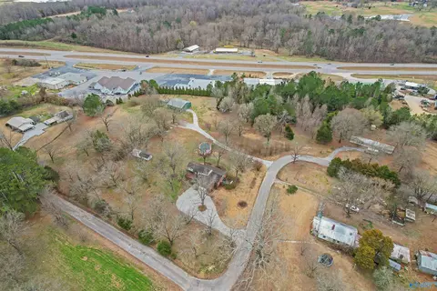 2590 County Road 316, Trinity, AL 35673 photo 42